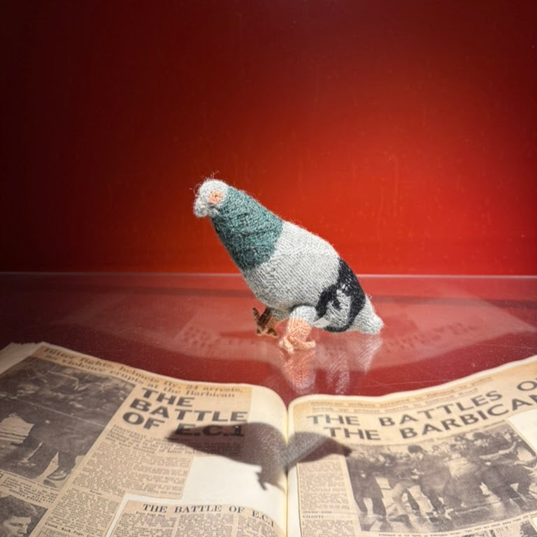 Pigeons by Various Projects