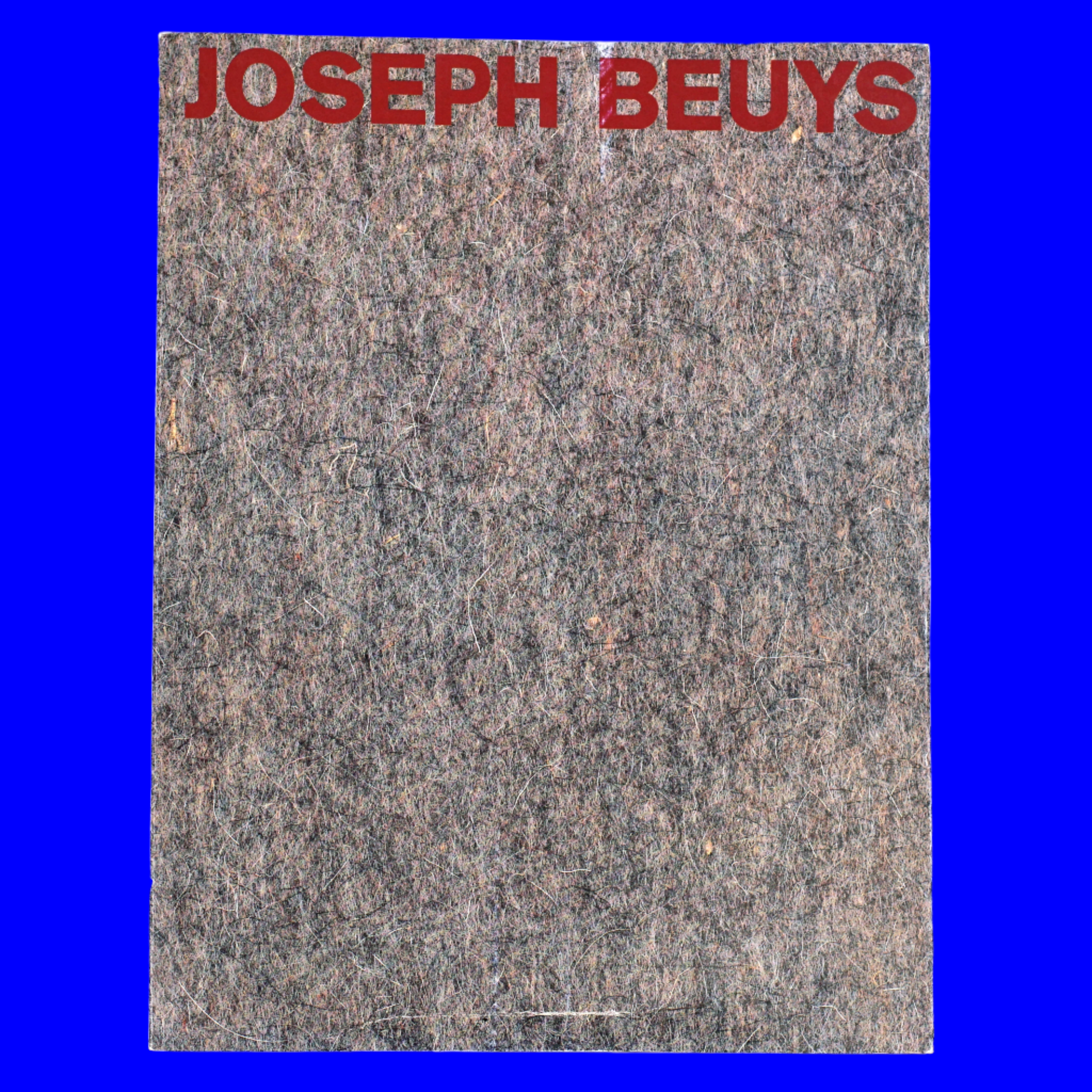 ヨーゼフ・ボイス イン・ジャパン JOSEPH BEUYS IN JAPAN 美術品