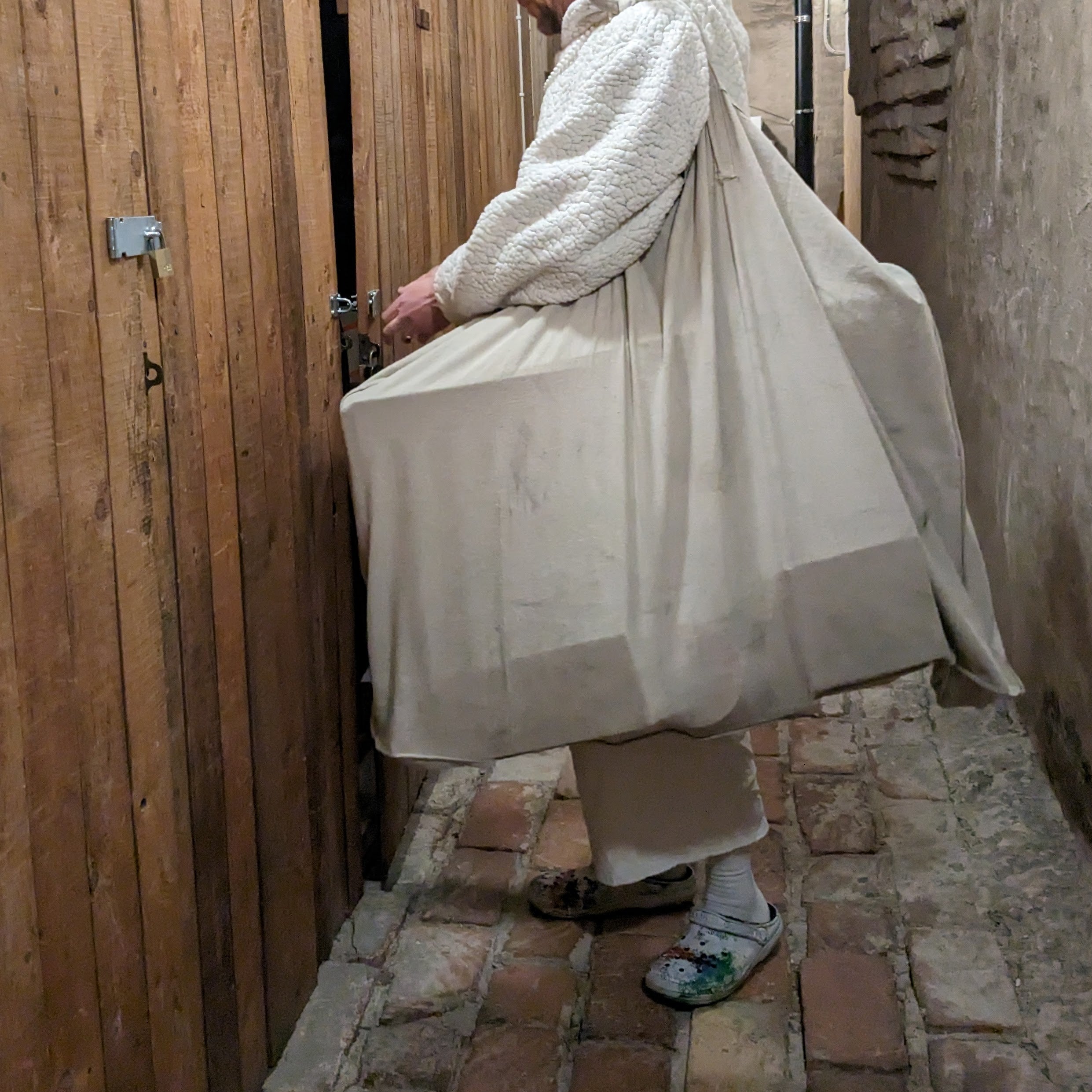 Big Cotton Canvas Tote