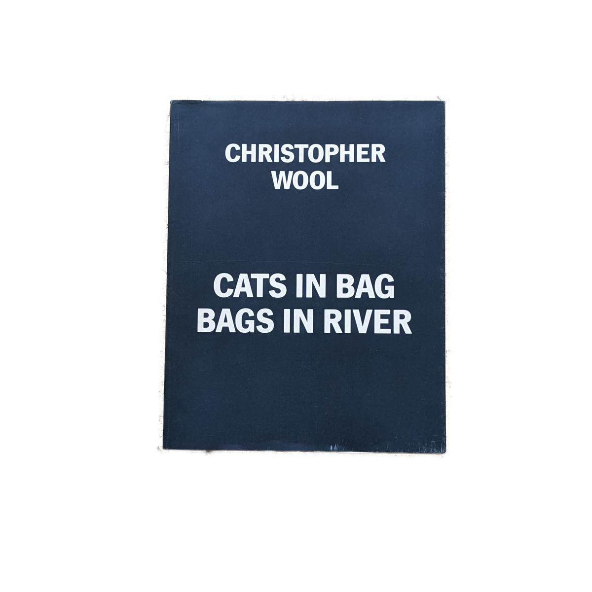 Christopher Wool: Cats in Bag Bags in River