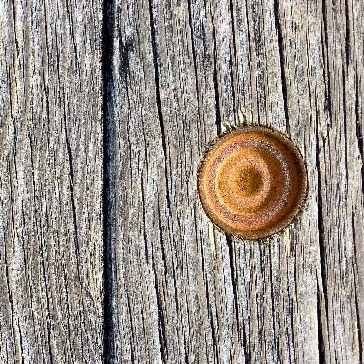 Kendall Glover's "Puck"