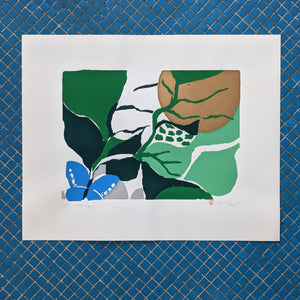 Lithographs from the 70s by Edlef ter Haar Romeny