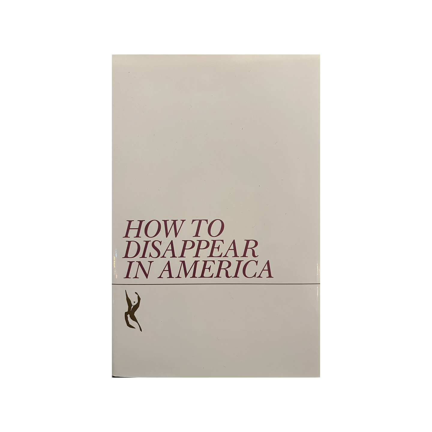 How to Disappear in America by Seth Price